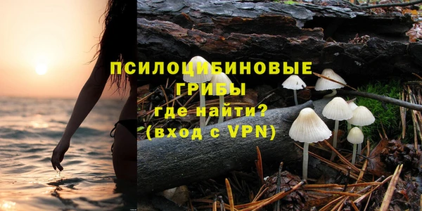 синтетический гашиш Алексин