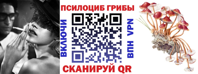 даркнет телеграм  купить  сайты  Белоозёрский  Галлюциногенные грибы ЛСД 