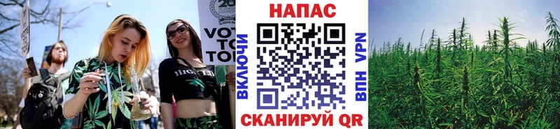 Конопля MAZAR  Белоозёрский 